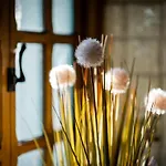 Stunning Grade 2 Listed With Parking And Hot Tub