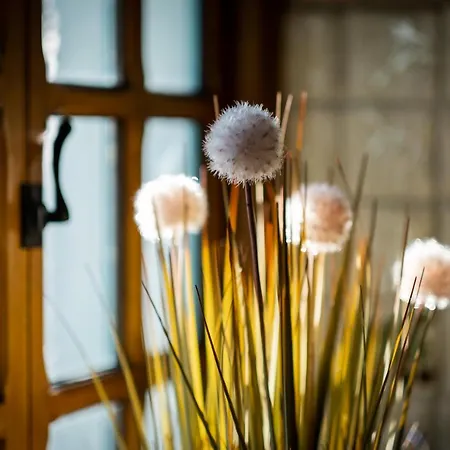 Stunning Grade 2 Listed With Parking And Hot Tub